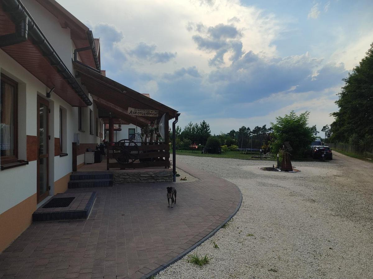 Agrowczasy Nad Stawem Gartatowice Exterior foto
